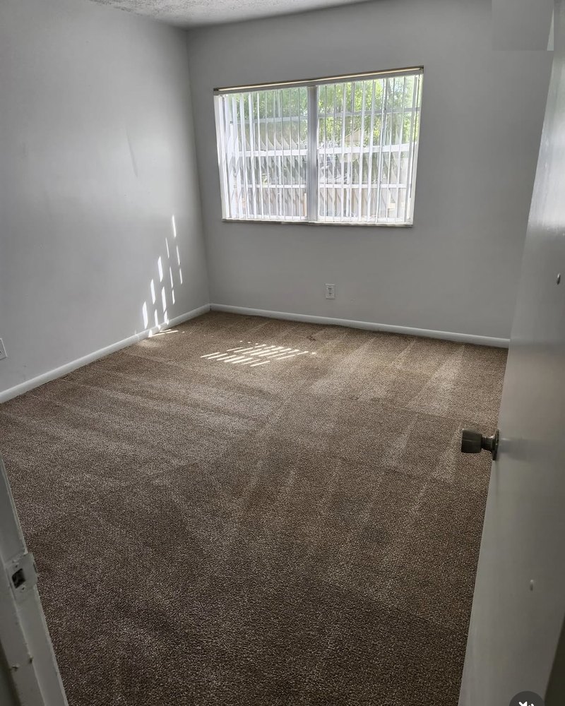 Carpet after cleaning