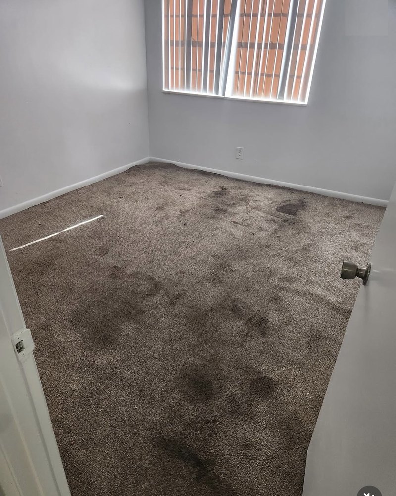 Carpet before cleaning